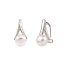 Pendientes de plata TU Y YO perlas con circonitas cierre omega